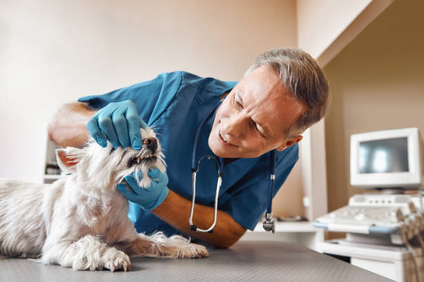 Best Emergency Tooth Extraction in Clairton, PA